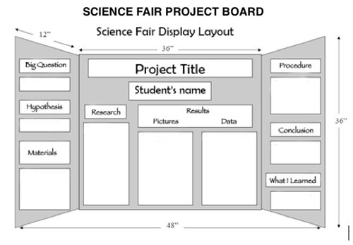 Science Fair project board layout