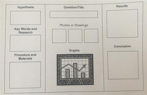 Science Fair project board layout